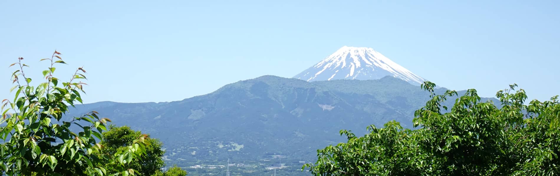 富士山と愛鷹山